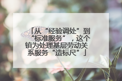 从“经验调处”到“标准服务”，这个镇为处理基层劳动关系服务“造标尺”